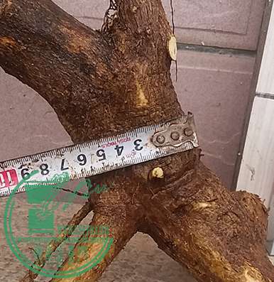 20170322_180601_mh1490180895823.jpg