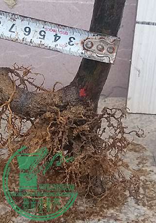 20170322_181457_mh1490181306136.jpg