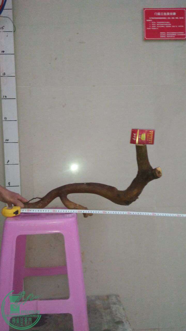 QQͼƬ20170322200124.jpg