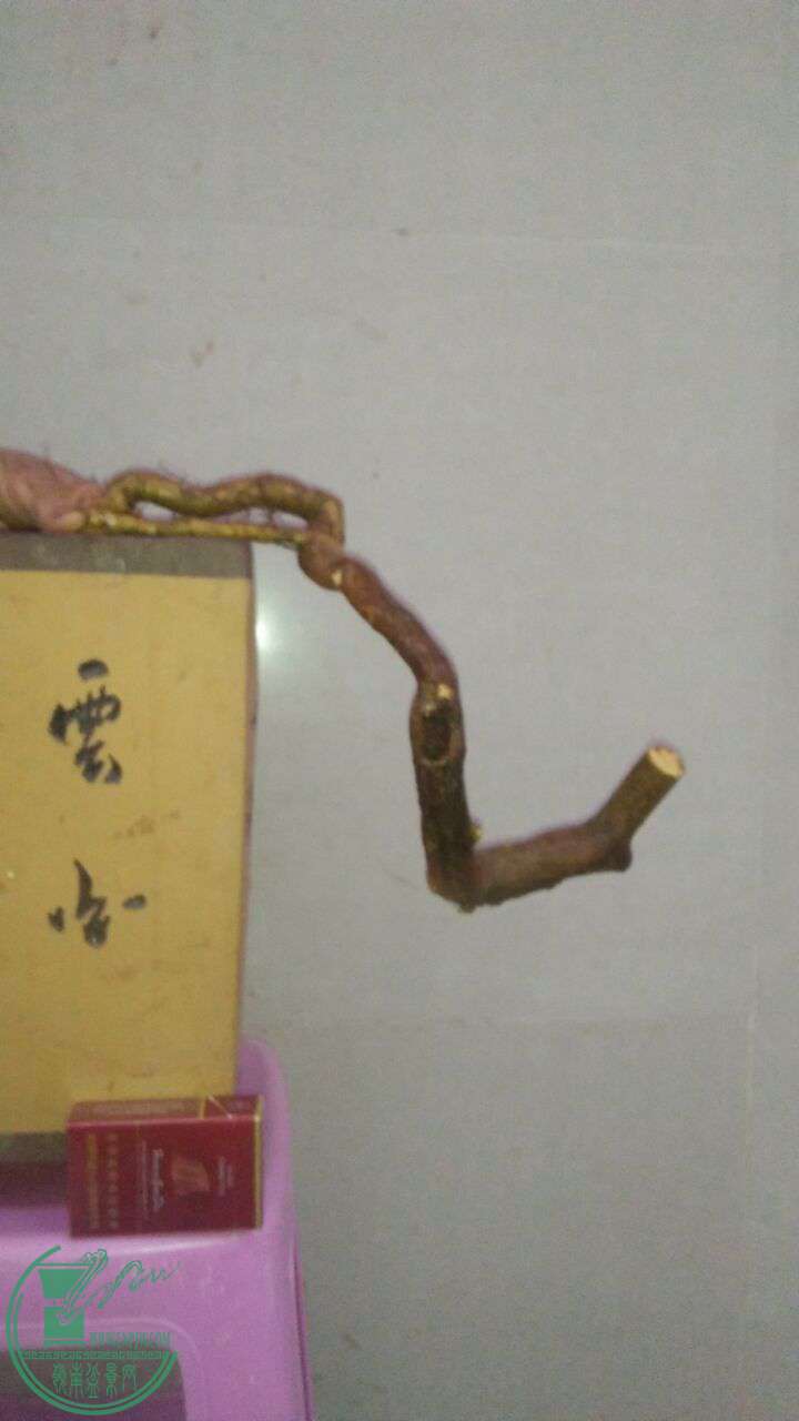 QQͼƬ20170322200205.jpg