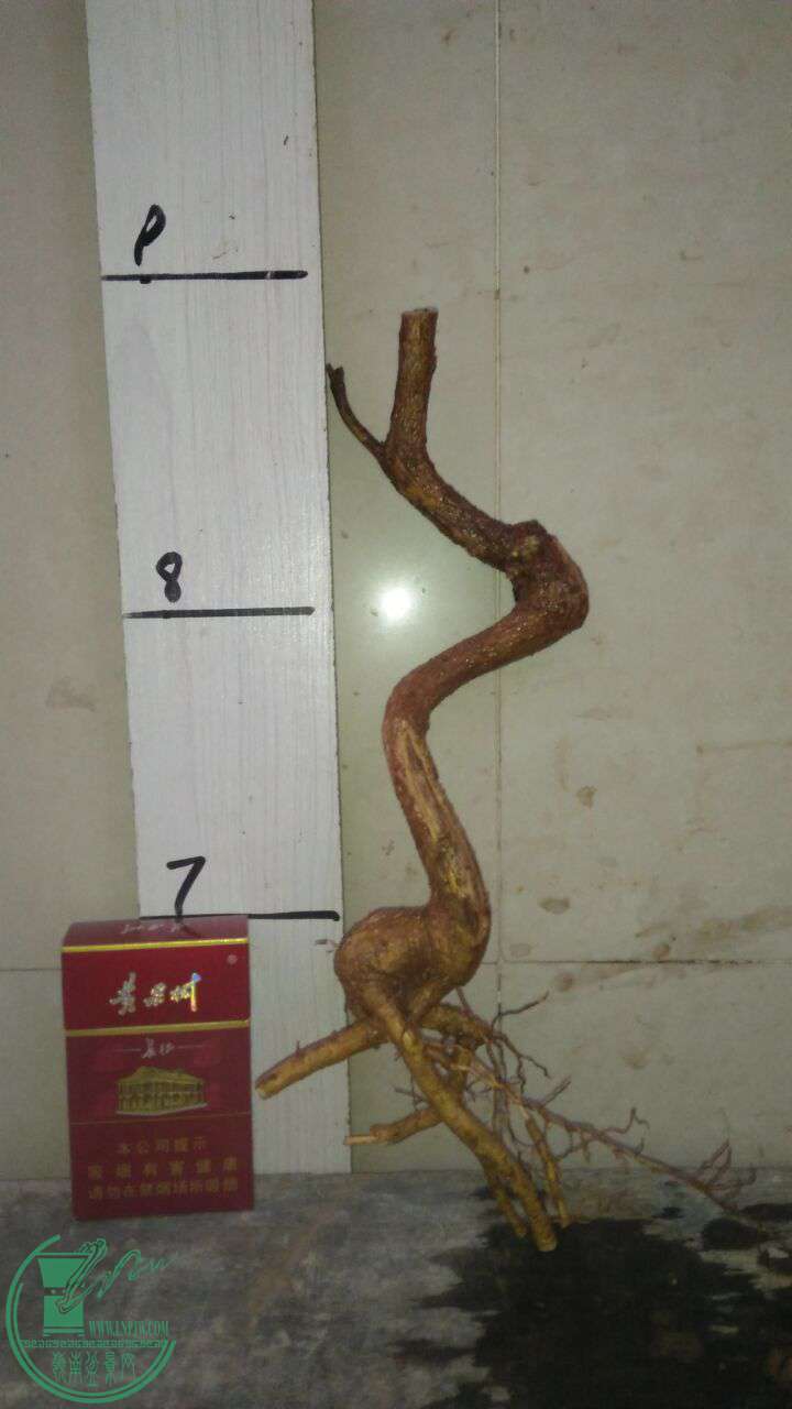 QQͼƬ20170322200040.jpg