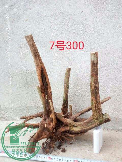 qq_pic_merged_1490184924290.jpg