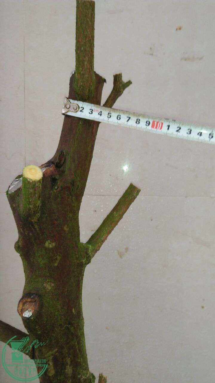 QQͼƬ20170323194231.jpg