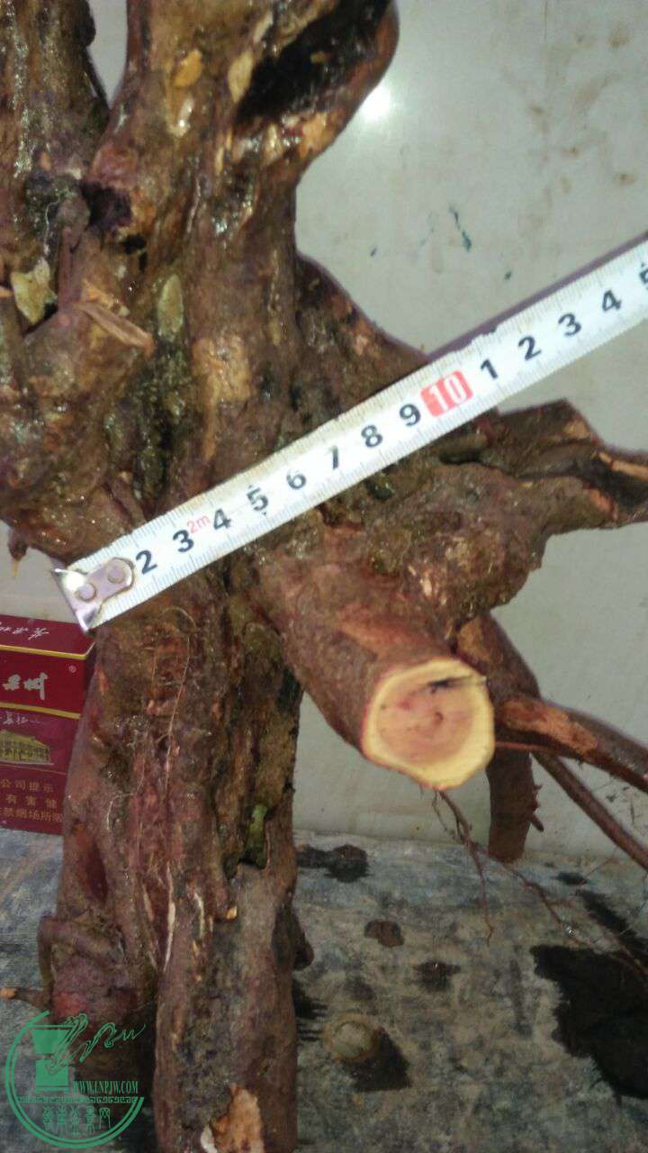 QQͼƬ20170323194301.jpg
