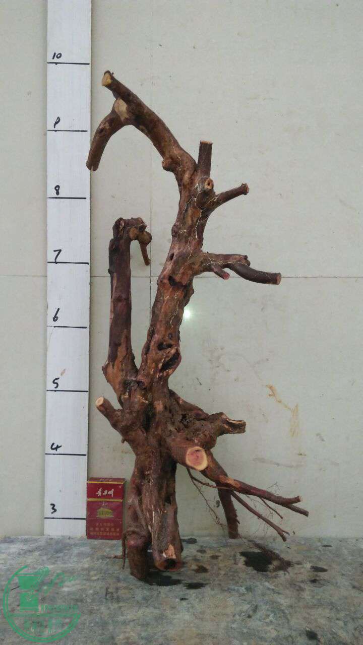 QQͼƬ20170323194315.jpg