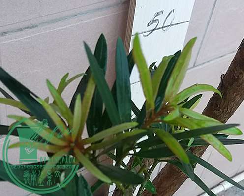 20170324_181457_mh1490353555026.jpg