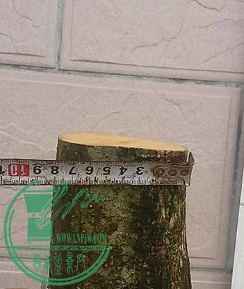 20170324_091039_mh1490353164528.jpg