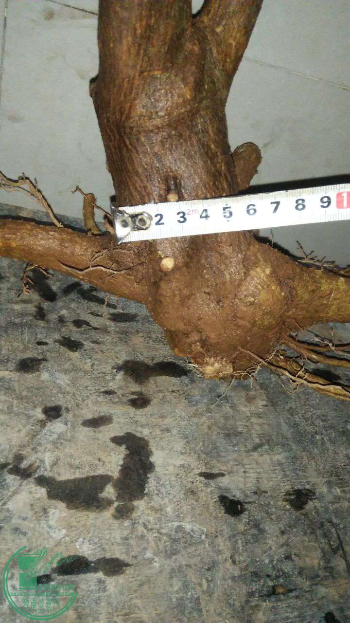 QQͼƬ20170324223617.jpg