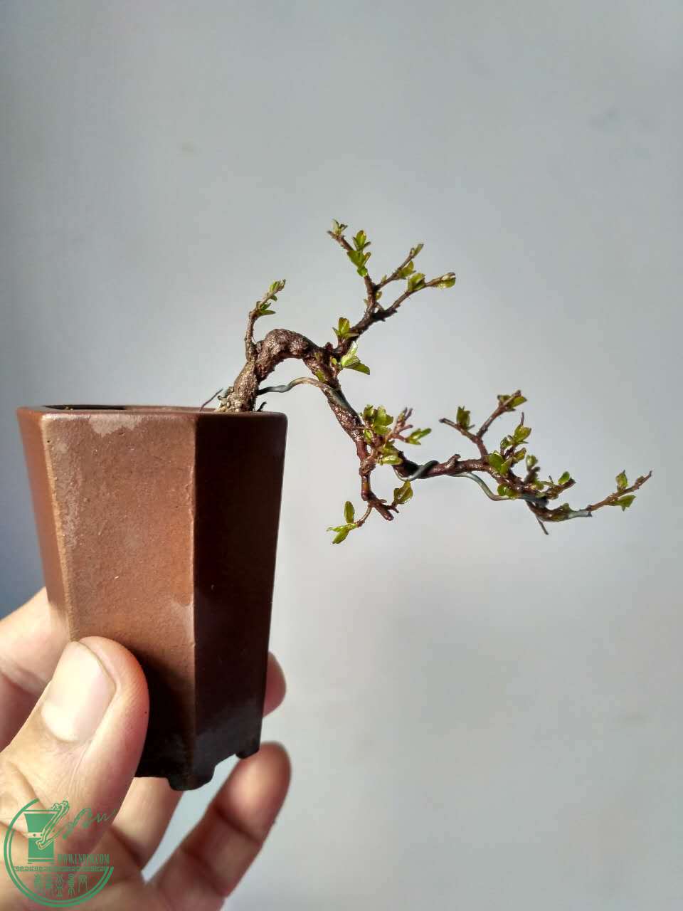 ΢ͼƬ_20170324221732.jpg