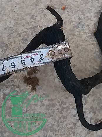 20170325_181610_mh1490440564435.jpg