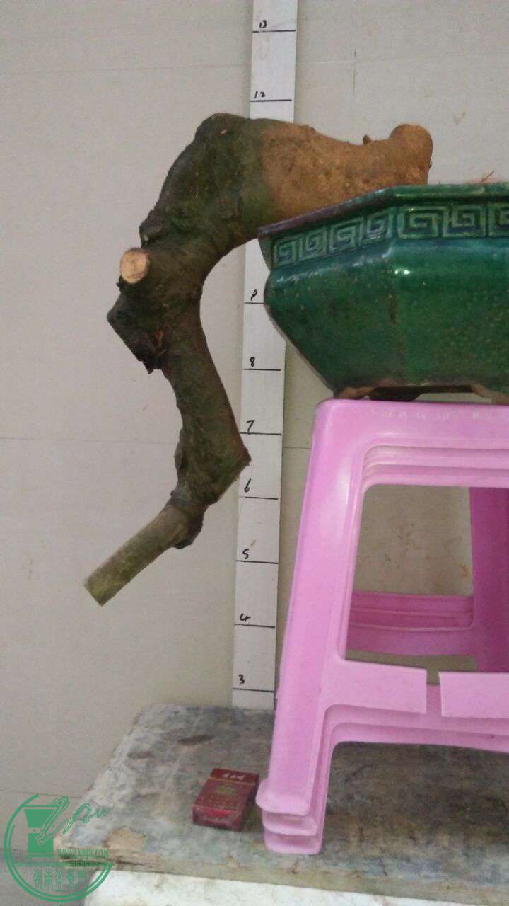 QQͼƬ20170325195744.jpg