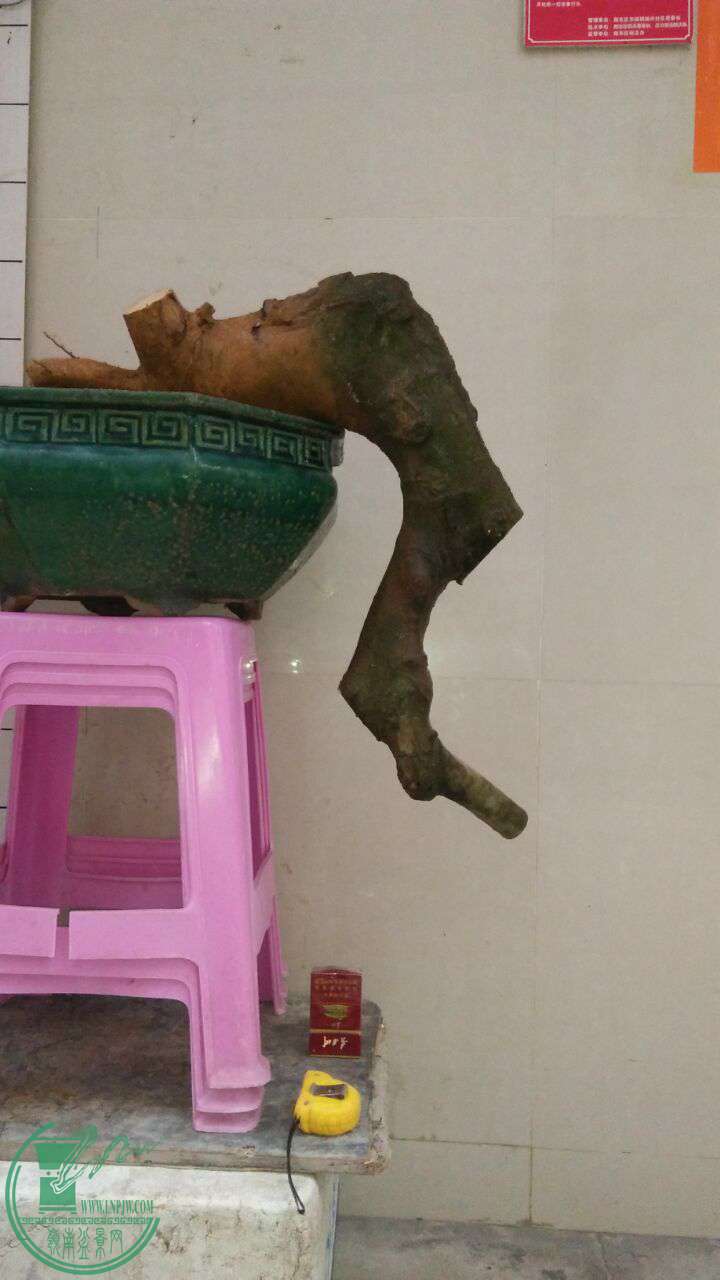 QQͼƬ20170325195734.jpg