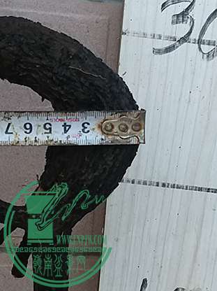 20170324_180804_mh1490439926701.jpg