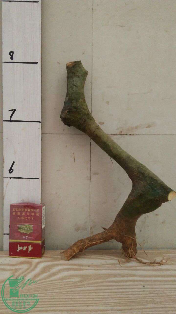 QQͼƬ20170325195706.jpg