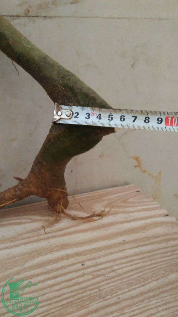 QQͼƬ20170325195308.jpg