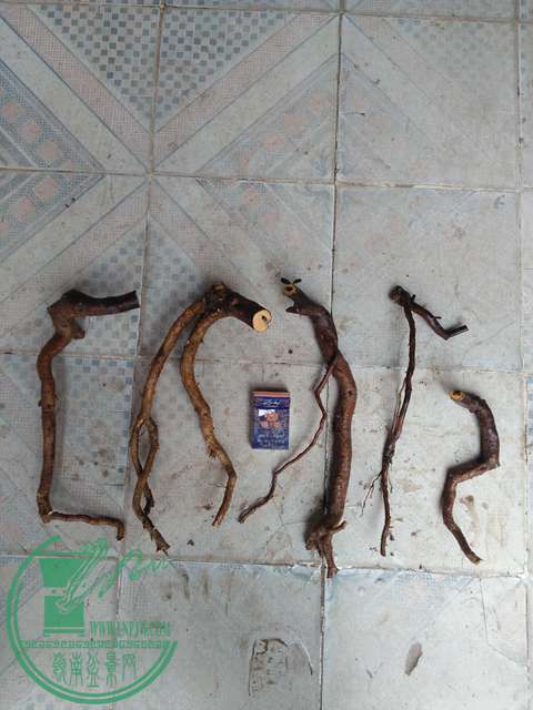 IMG20170325144007.jpg