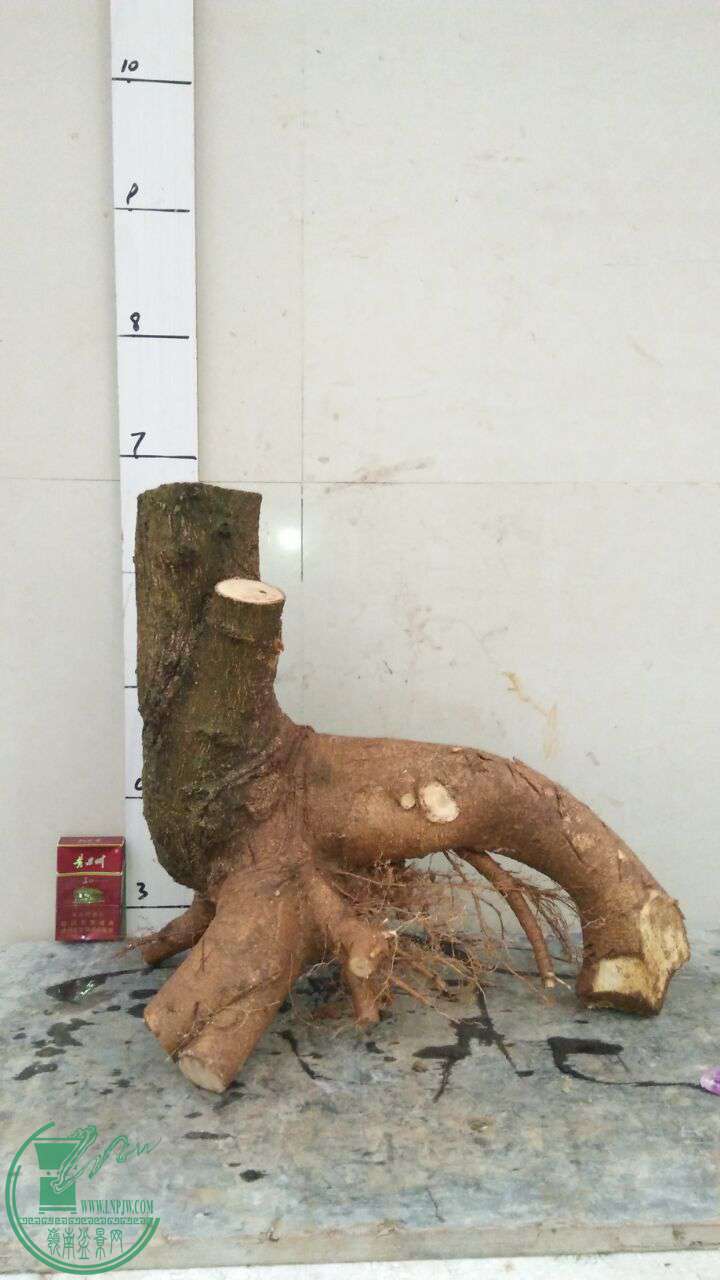 QQͼƬ20170326203817.jpg