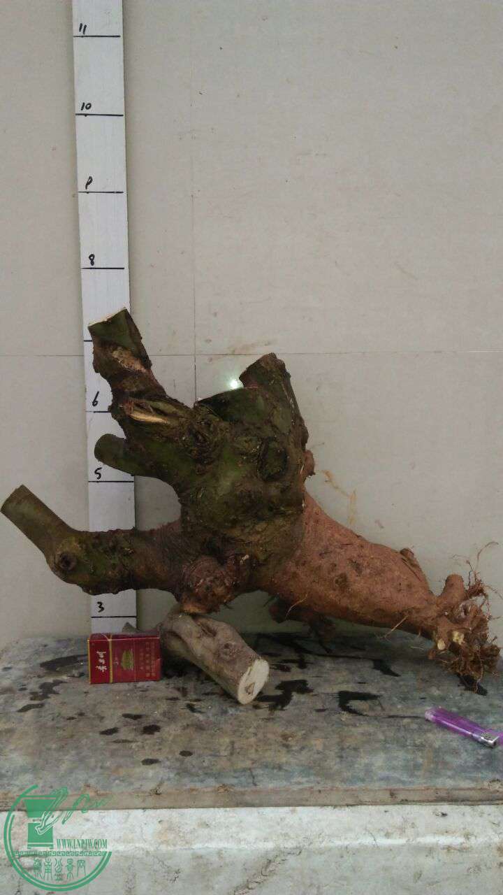 QQͼƬ20170326203711.jpg