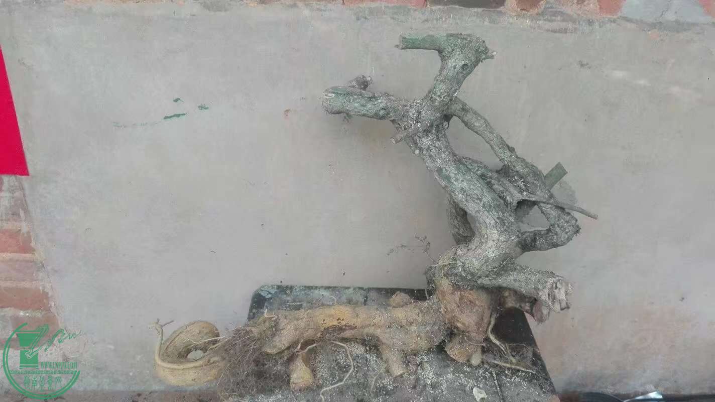 廨1.jpg
