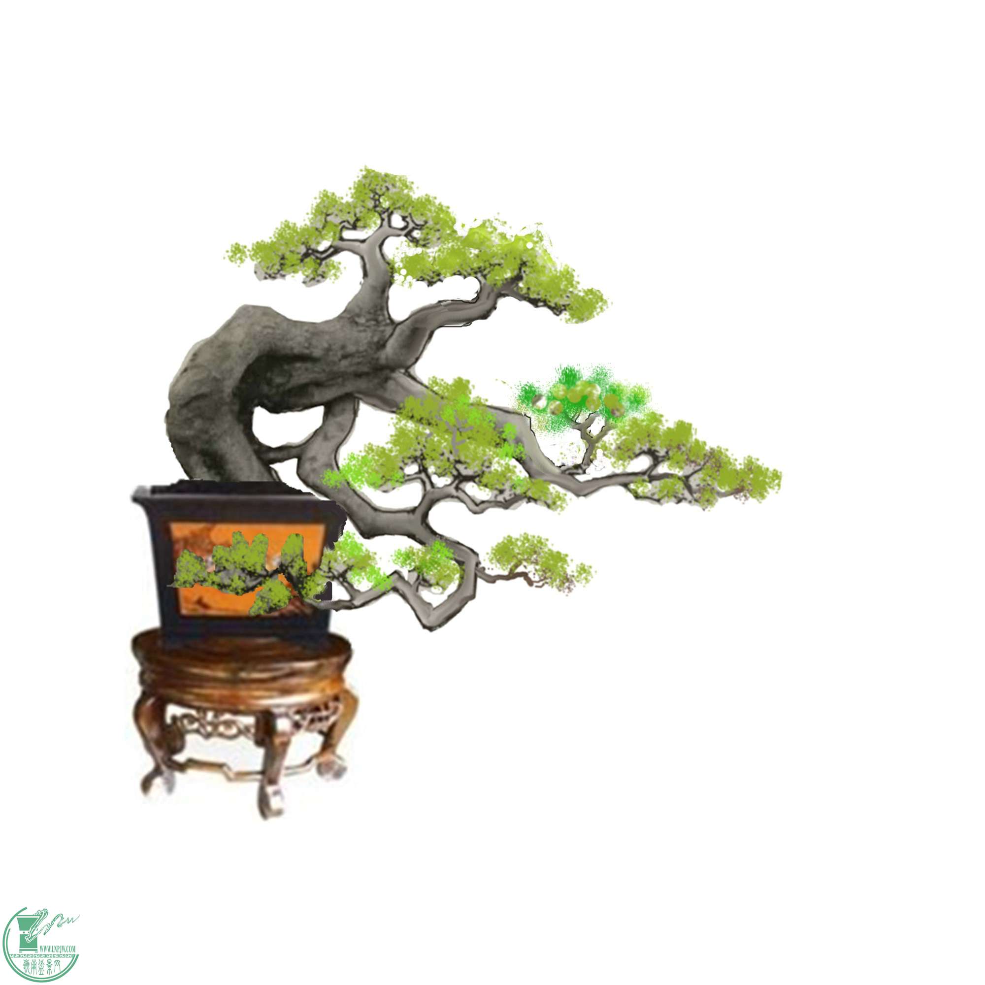 jiaolong-45r235__.jpg
