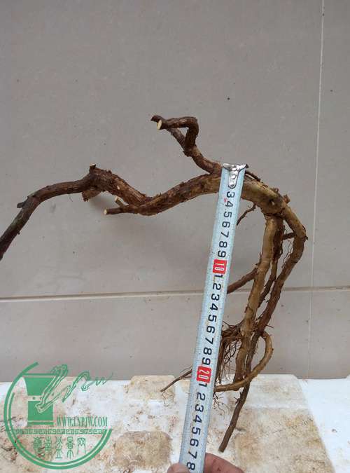 P70327-163458_.jpg