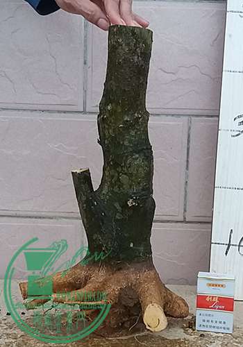 20170327_180817_mh1490615704206.jpg