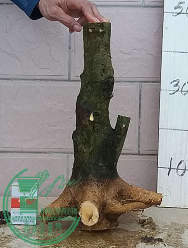 20170327_180741_mh1490612829967.jpg