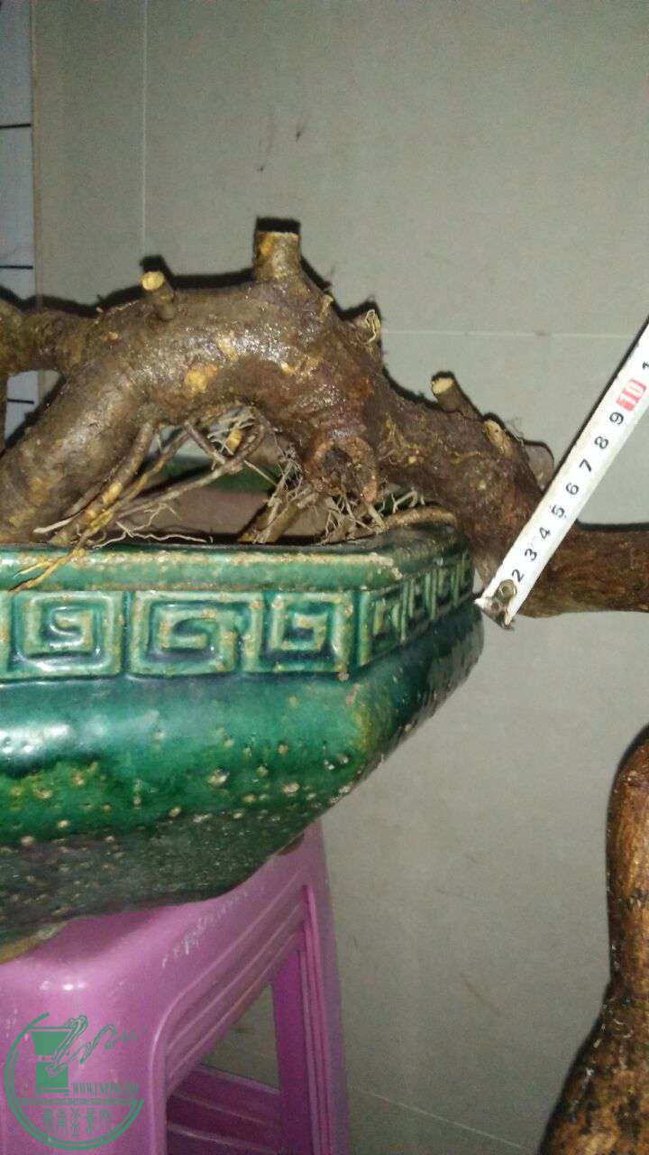 QQͼƬ20170327215129.jpg