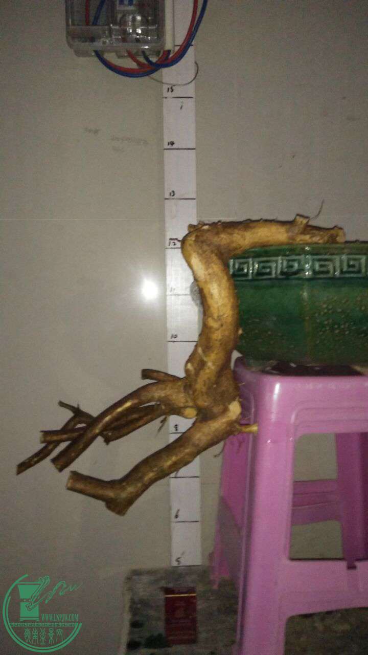 QQͼƬ20170327215218.jpg
