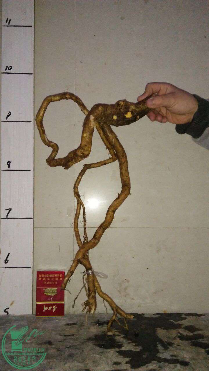 QQͼƬ20170327215322.jpg