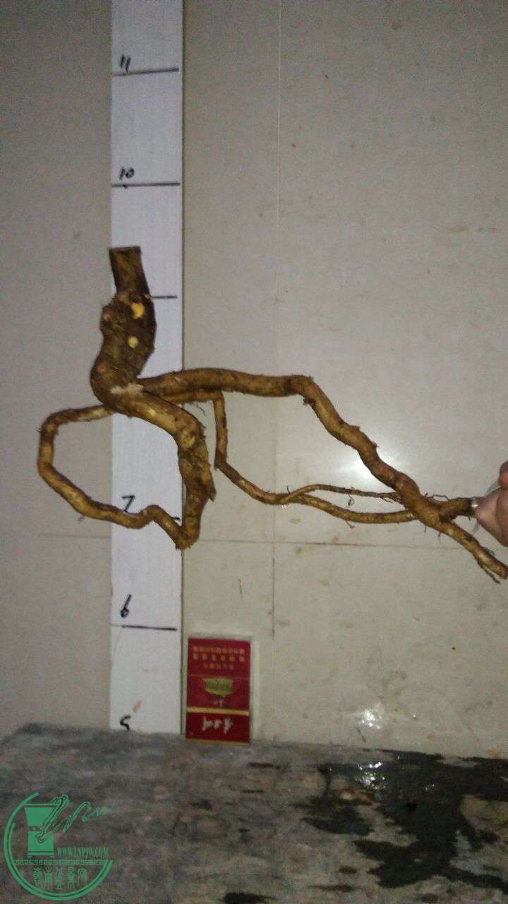 QQͼƬ20170327215316.jpg