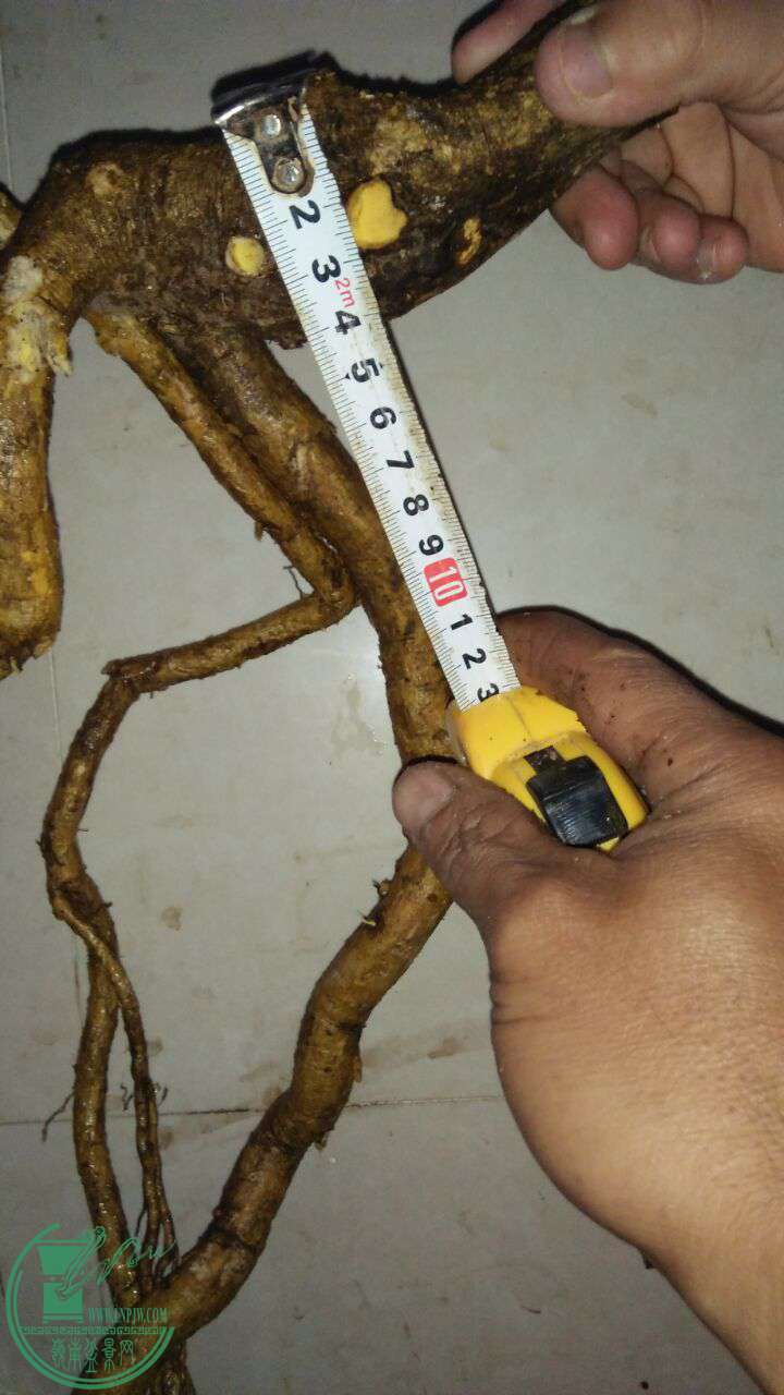 QQͼƬ20170327215328.jpg