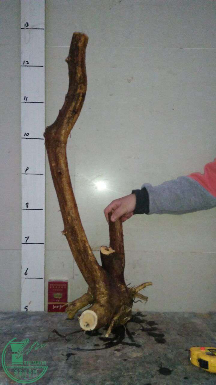 QQͼƬ20170327215353.jpg