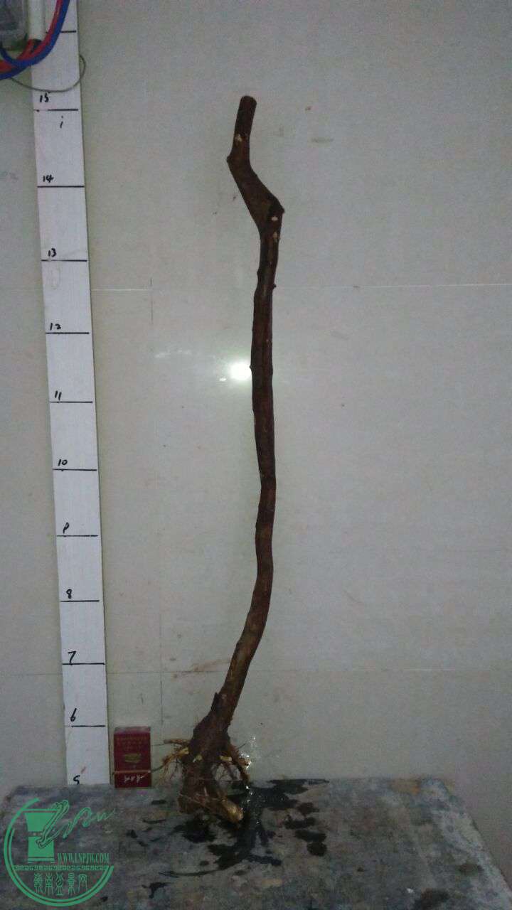 QQͼƬ20170327215343.jpg
