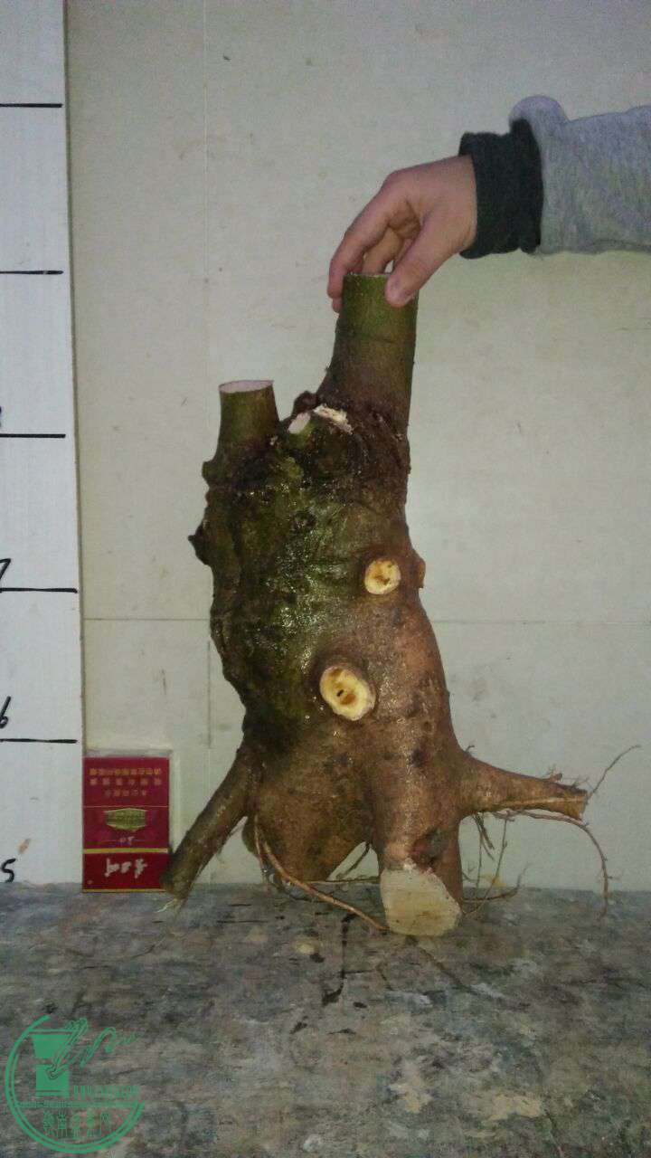 QQͼƬ20170327215436.jpg