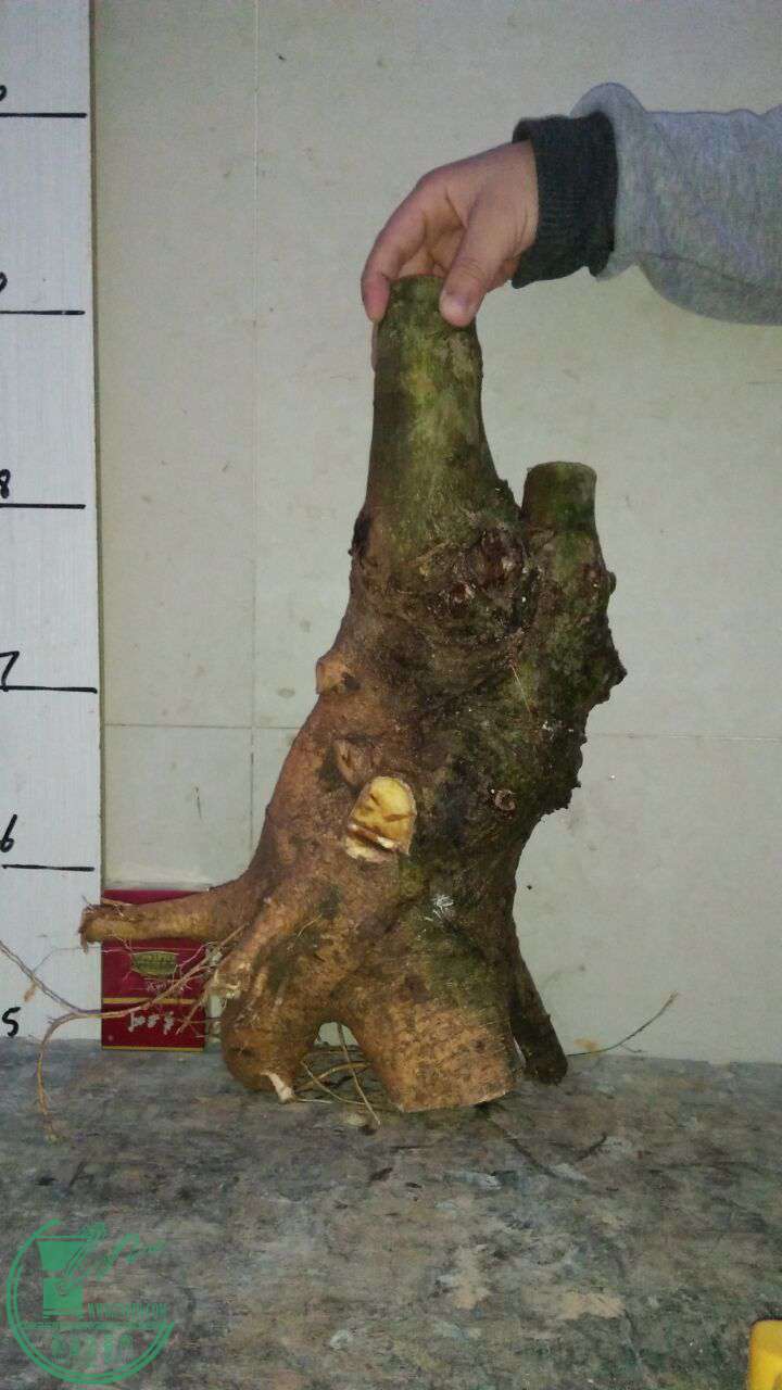 QQͼƬ20170327215423.jpg