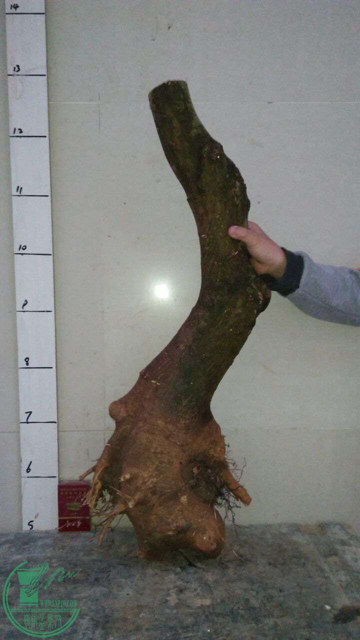 QQͼƬ20170327215456.jpg