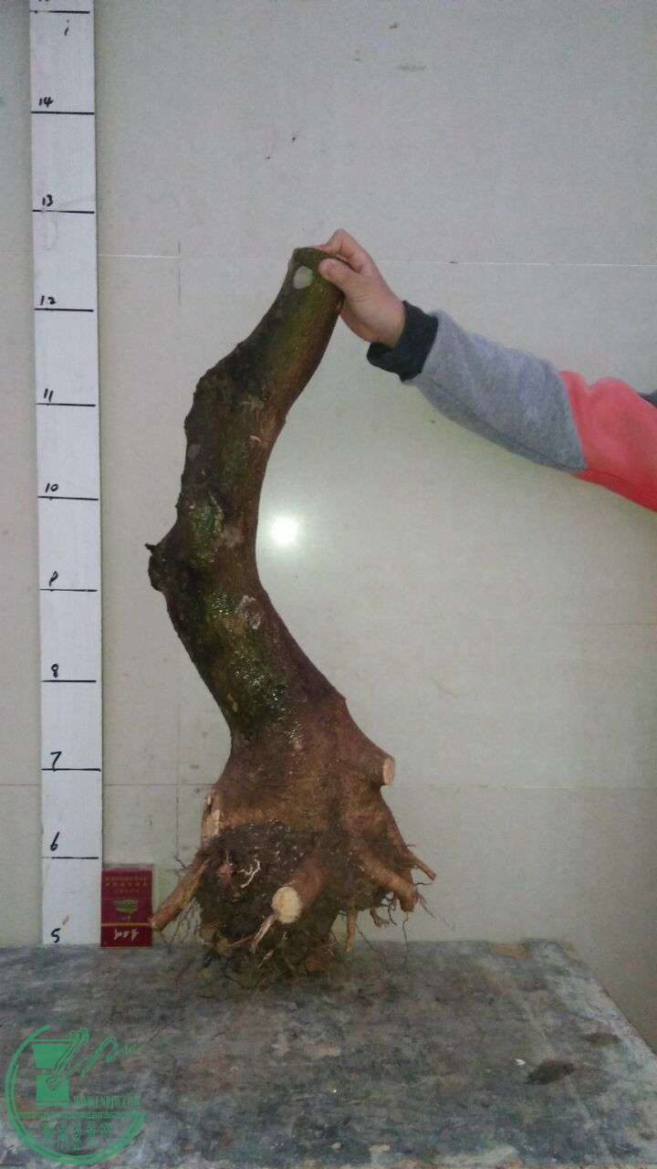 QQͼƬ20170327215506.jpg