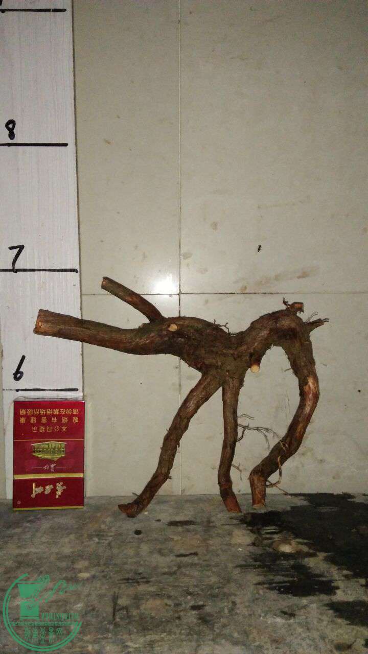 QQͼƬ20170327215301.jpg