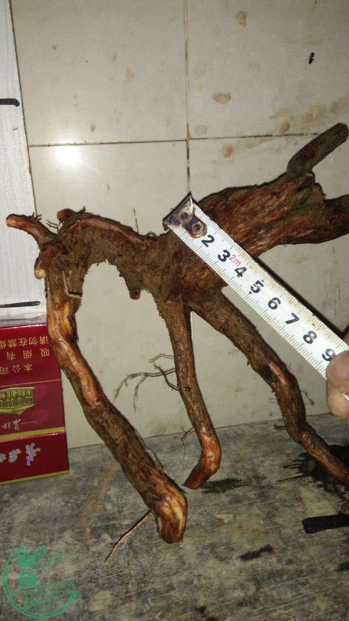 QQͼƬ20170327215311.jpg