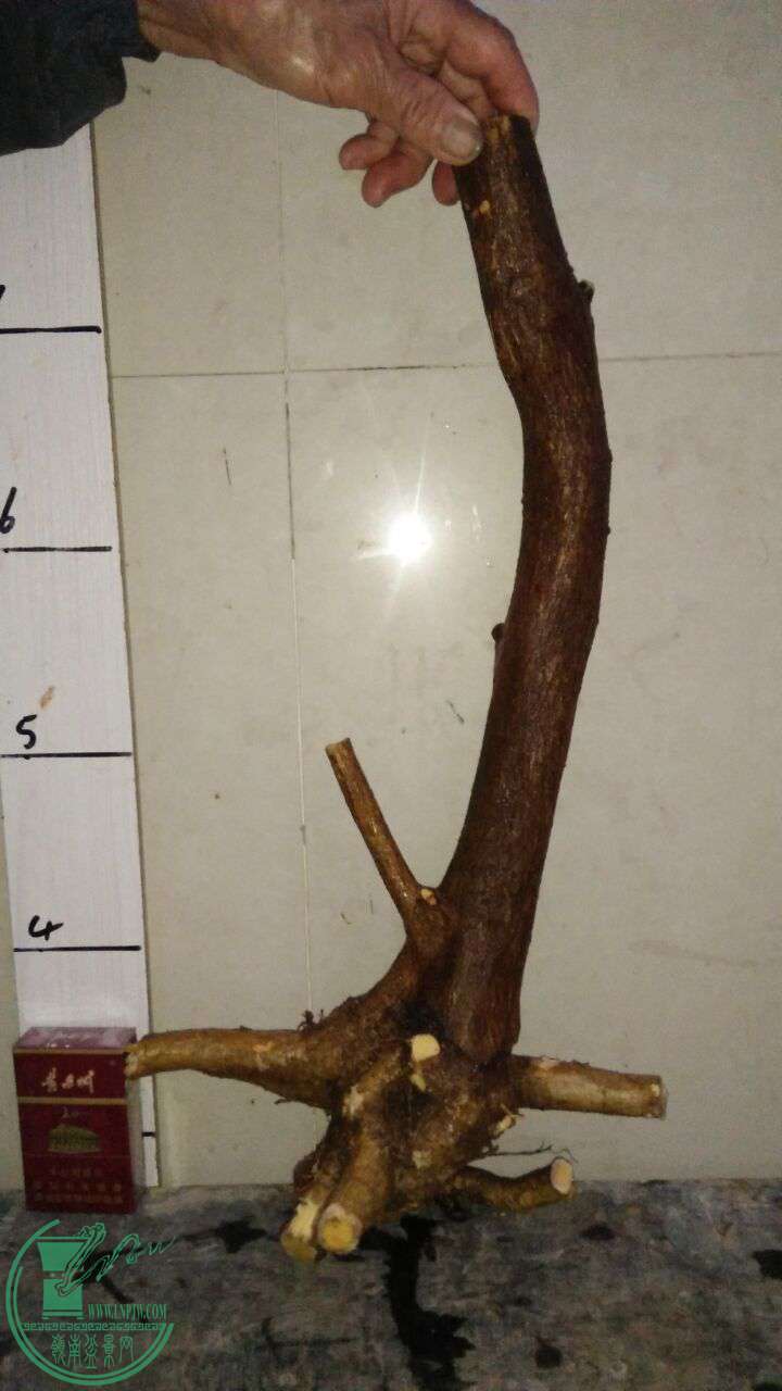 QQͼƬ20170328192741.jpg