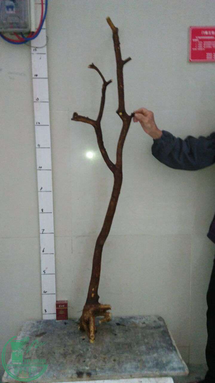 QQͼƬ20170328192830.jpg