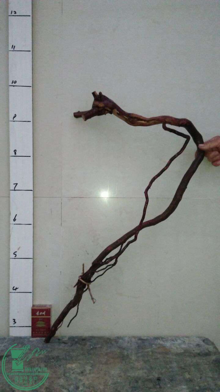 QQͼƬ20170328203830.jpg