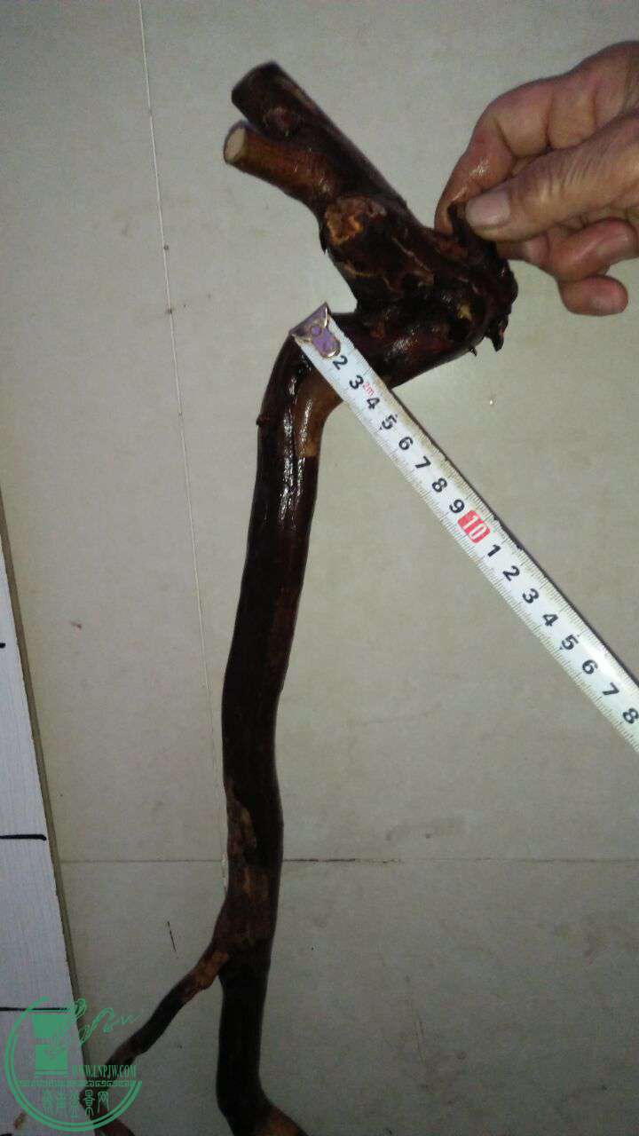 QQͼƬ20170328203841.jpg