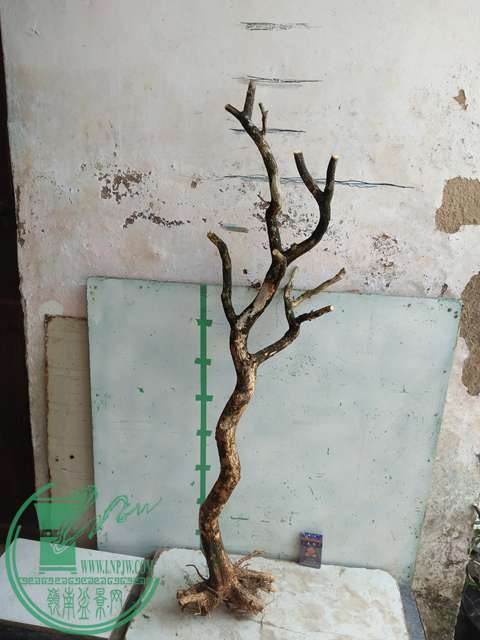 IMG20170328112824.jpg