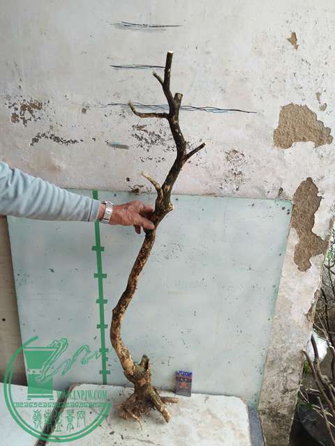 IMG20170328113214.jpg