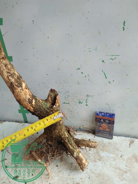 IMG20170328113220.jpg