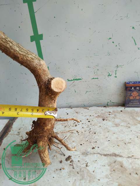 IMG20170328113337.jpg