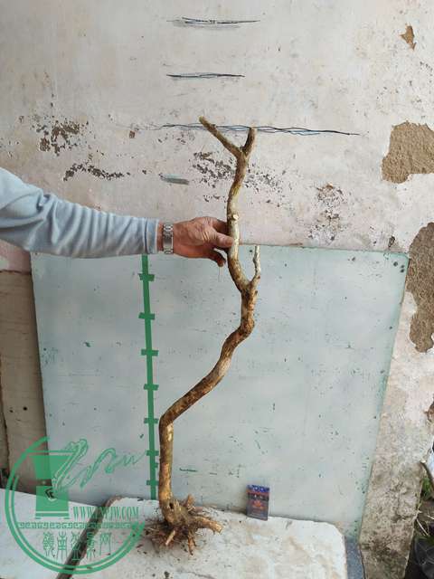 IMG20170328113629.jpg