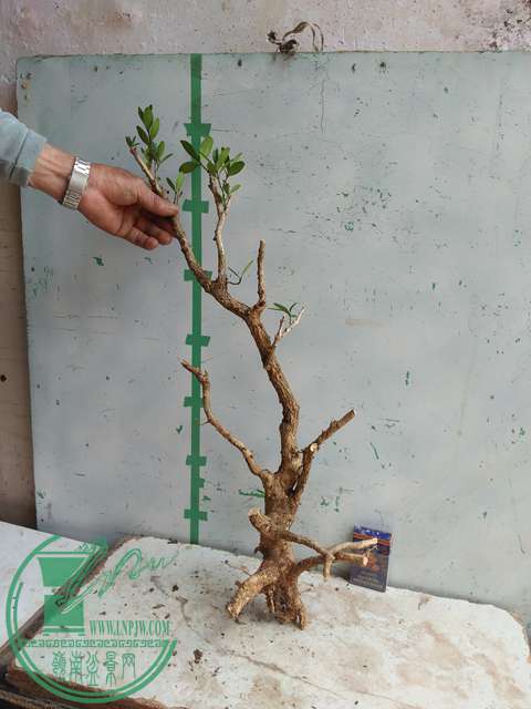 IMG20170328113745.jpg